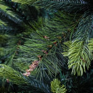 ALEKO 9 ft. Unlit Traditional Artificial Christmas Holiday Tree