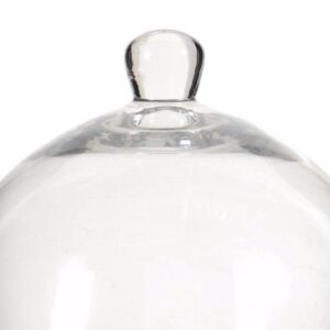 Benjara Large Well Designed Gray Pedestal Plate with Glass Dome