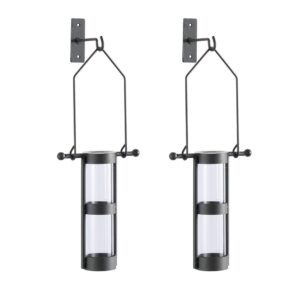 DANYA B Urbanne Rustic Black Metal Wall Mount Hanging Glass Cylinder Decorative Vases (Set of 2)