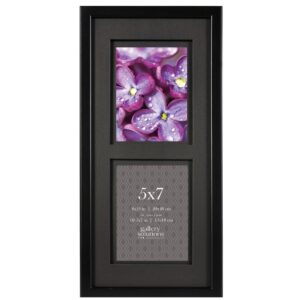 Pinnacle 2-Opening 5 in. x 7 in. Matted Picture Frame
