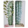 Certified International Cactus Verde  2-Piece Ceramic Rectangular Platter Set