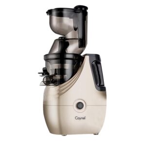 Boyel Living Champagne Slow Masticating Juice Extractor,Juicer Machine Champagne