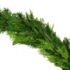VAN ZYVERDEN 25 ft. Live Fresh Cut Pacific Northwest Princess Pine and Cedar Mix Coil Holiday Garland