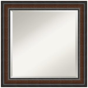 Amanti Art Cyprus Walnut 24.88 in. x 24.88 in. Bathroom Vanity Wall Mirror