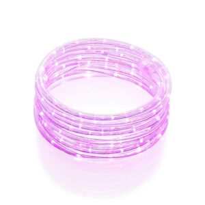 DEERPORT DECOR 16 ft. 108-Light LED Pink All Occasion Indoor Outdoor LED Rope Light 360Directional Shine Decoration