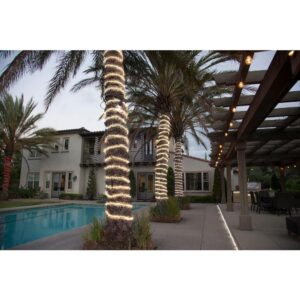 DEERPORT DECOR 48 ft. Cool White All Occasion Indoor Outdoor LED Rope Light 360Directional Shine Decoration