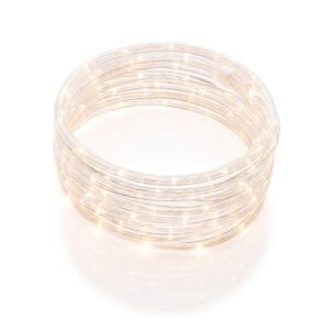 DEERPORT DECOR 48 ft. So ft. White All Occasion Indoor Outdoor LED Rope Light 360Directional Shine Decoration (2-Pack, 96 ft. Total)