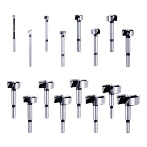 DIABLO Forsnter Bit Set (16-Piece)