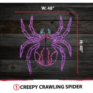 Haunted Hill Farm 48 in. x 40 in. Creepy Crawling Spider Indoor/Outdoor LED Halloween Window Light