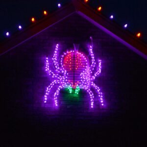 Haunted Hill Farm 48 in. x 40 in. Creepy Crawling Spider Indoor/Outdoor LED Halloween Window Light