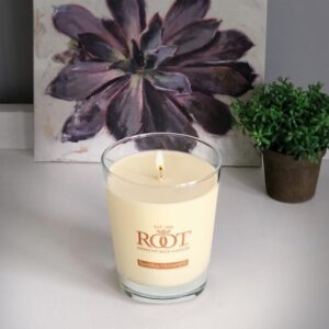 ROOT CANDLES Veriglass Sparkling Champagne Scented Filled Jar Candle