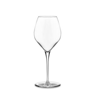Libbey Signature Westbury 12-piece Wine Glass Party Set