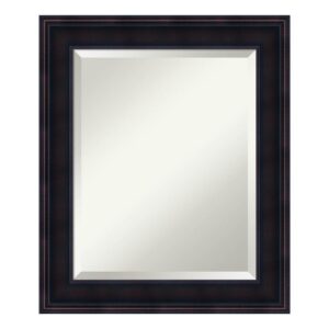 Amanti Art Annatto 21 in. W x 25 in. H Framed Rectangular Beveled Edge Bathroom Vanity Mirror in Mahogany