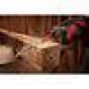Milwaukee SAWZALL Demolition Wood and Metal Cutting Reciprocating Saw Blade Set (13-Piece) w/ 9 in. AX Carbide Teeth Blade