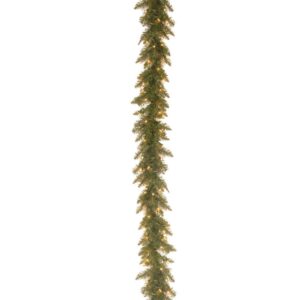National Tree Company 9 ft. Pre-Lit Dunhill Fir Garland with Clear Lights