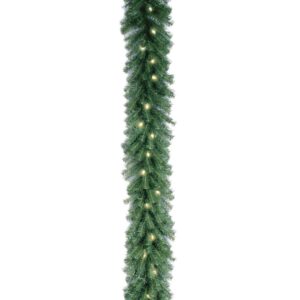 National Tree Company 9 ft. Norwood Fir Garland