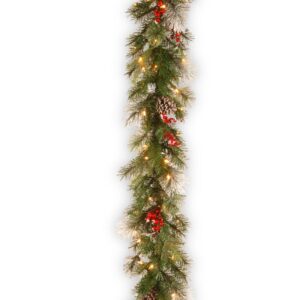 National Tree Company 9 ft. Wintry Berry Garland with Clear Lights