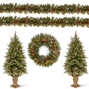National Tree Company Frosted Berry Assortment Two 4 ft. Entrance Trees with Clear Lights and 24 in. Wreath with Warm White Light