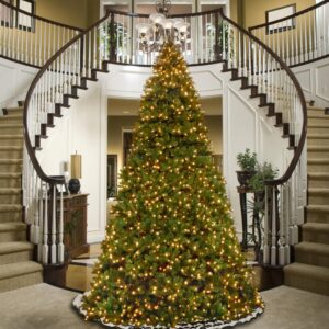 National Tree Company 16 ft. Feel Real Downswept Douglas Fir Hinged Artificial Christmas Tree with 2100 Dual Color LED Lights