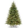 National Tree Company 7 ft. Feel Real Frasier Grande Hinged Tree with 800 Dual Color LED Lights