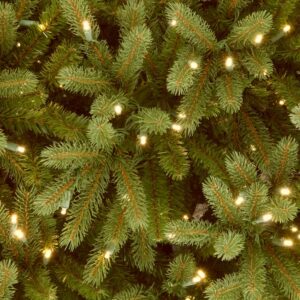 National Tree Company 6.5 ft. Jersey Fraser Fir Medium Artificial Christmas Tree with Dual Color LED Lights