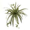 Nearly Natural 23 in. Spider Plant Bush (Set of 4)