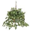 Nearly Natural Pothos Hanging Basket Silk Plant