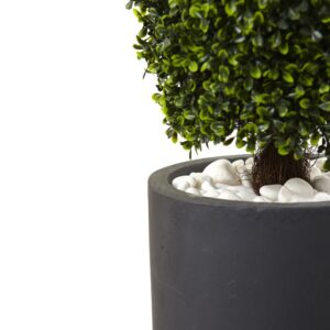 Nearly Natural 50 in. Boxwood Topiary with Gray Cylindrical Planter UV Resistant (Indoor/Outdoor)