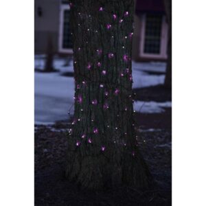 Northlight 2 ft. x 8 ft. Purple Mini Net Style Tree Trunk Wrap Christmas Lights with Brown Wire