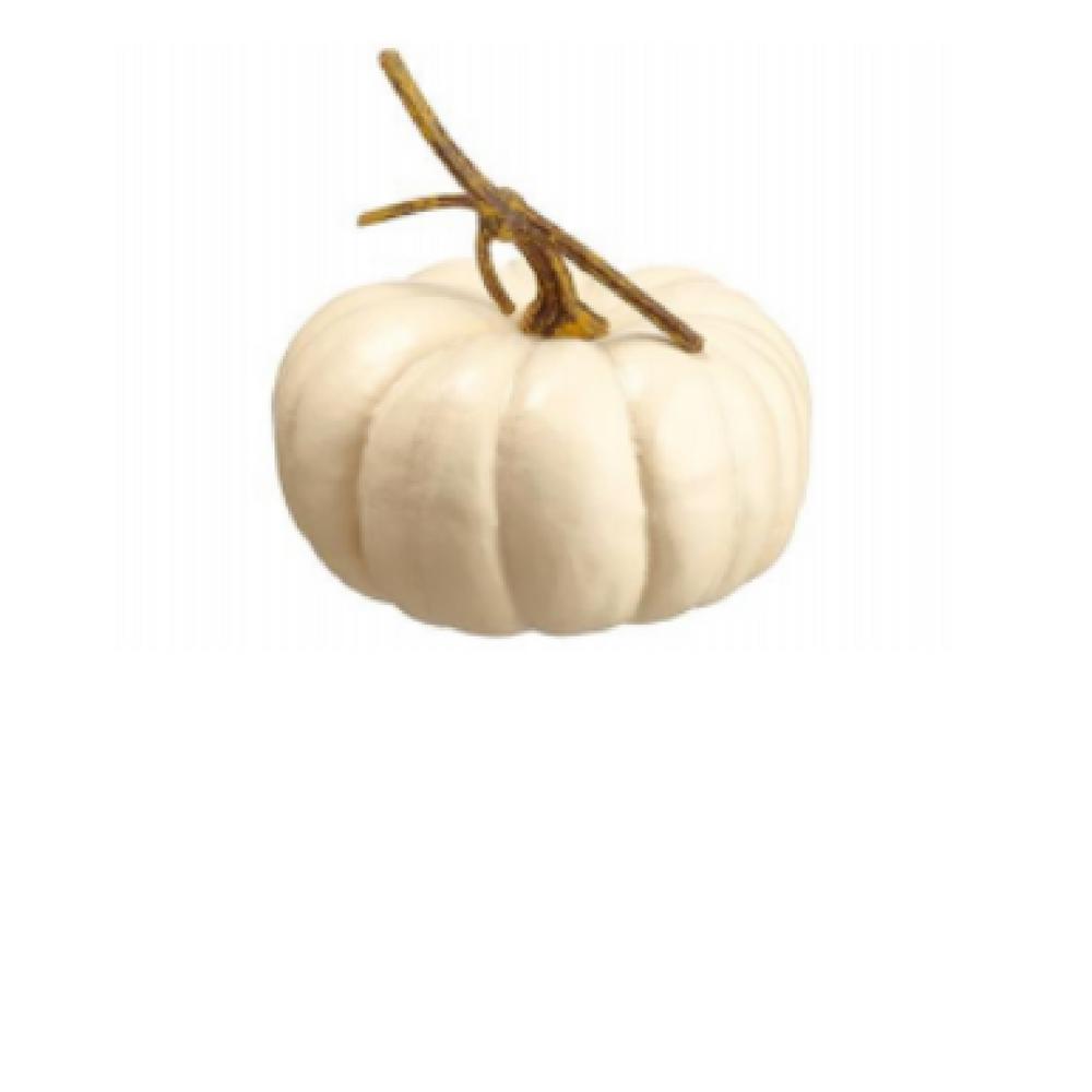 Northlight 8 in. Cream Flat Round Pumpkin Fall Harvest Table Top Decoration