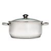 Ecolution Pure Intentions 5 qt. Round Stainless Steel Dutch Oven in Polished Stainless Steel with Glass Lid