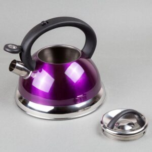 Creative Home Alexa 12-Cup Stovetop Tea Kettle in Purple