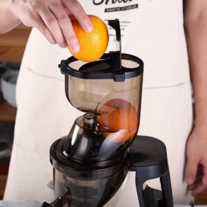 Boyel Living Slow Masticating Juice Extractor,Cold Press Juicer Machine red