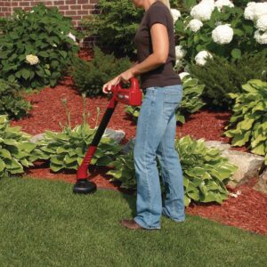 Toro 8 in. 12-Volt Cordless String Trimmer