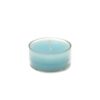 Zest Candle 1.5 in. Turquoise Blue Tealight Candles (50-Pack)