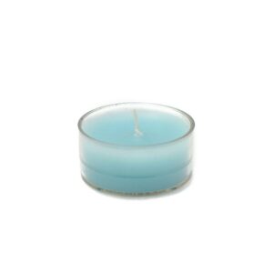 Zest Candle 1.5 in. Turquoise Blue Tealight Candles (50-Pack)