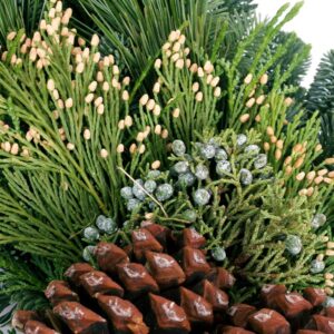 VAN ZYVERDEN 20 in. Live Fresh Cut Pacific Northwest Grape Vine and Greens Christmas Wreath