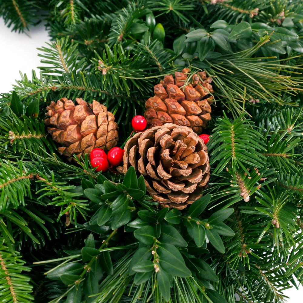 VAN ZYVERDEN 24 in. Live Fresh Cut Blue Ridge Mountain Mixed Christmas Wreath with Cones and Berries