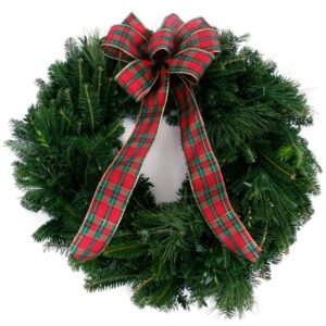 VAN ZYVERDEN 24 in. Live Fresh Cut Blue Ridge Mountain Mixed Christmas Wreath with Bow