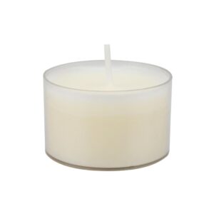 Stonebriar Collection Unscented Long Burning Clear Cup Tealight Candles (48-Pack)