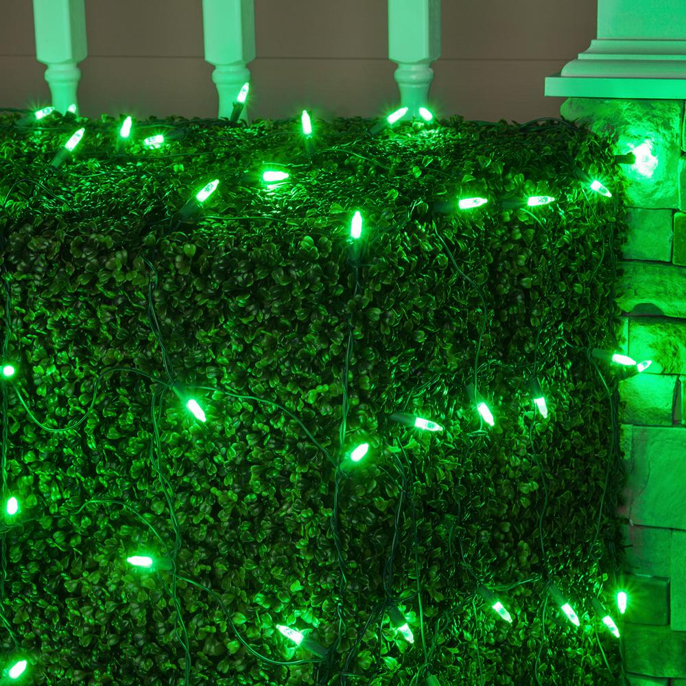 Wintergreen Lighting 48 in. x 72 in. 100-Light M5 LED Green Net Light Set
