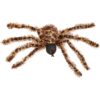 Worth Imports 22 in. Brown Spider With Lighted Eyes (Set of 2)