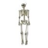 Worth Imports 60 in. Halloween Life Size Hanging Skeleton