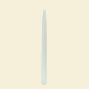 Zest Candle 10 in. White Taper Candles (12-Set)