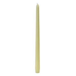 Zest Candle 12 in. Ivory Taper Candles (12-Set)