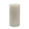 Zest Candle 3 in. x 6 in. Metallic White Glitter Pillar Candle Bulk (12-Box)