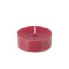 Zest Candle 2.25 in. Red Mega Oversized Tealights (12-Box)